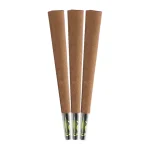 filtres en verre kalikana