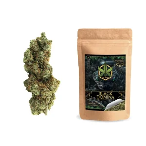 Black Domina