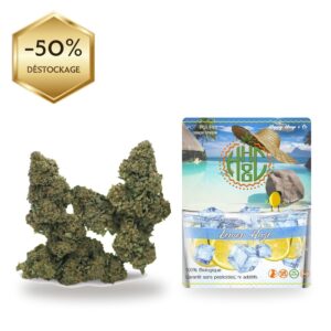 Lemon Haze - Happy Hemp & Co