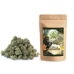Pop Corn Gorilla Mandarine