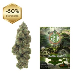 Buddha Kush